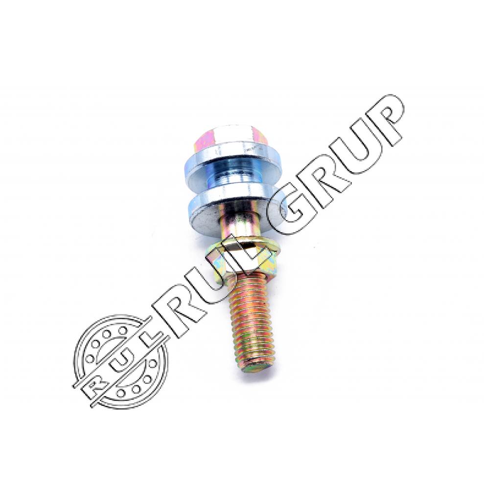 SURUB RIDICATOR PLANTE 176045 CL